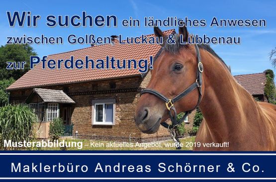 Der Verkauft läuft bestens – Wir suchen neue Objekte in der Lausitz!